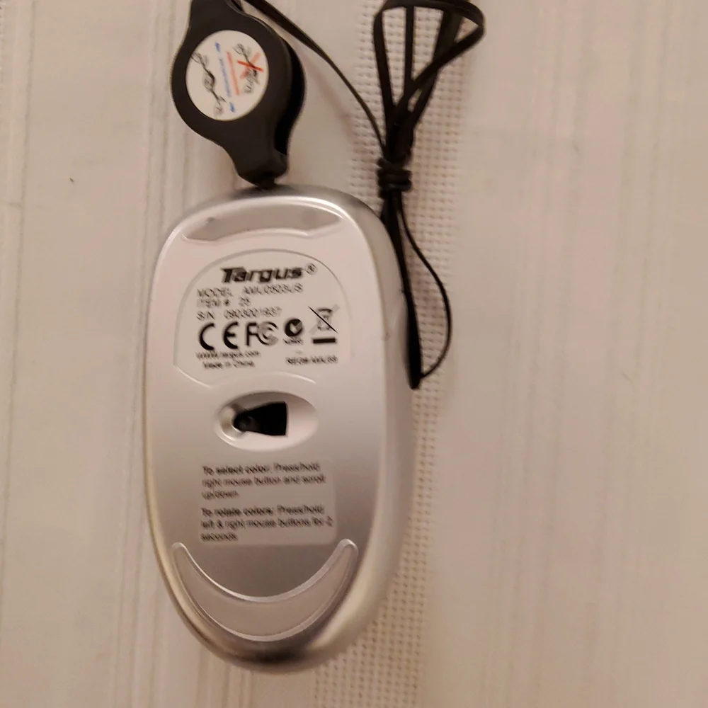 Tarsus Mouse